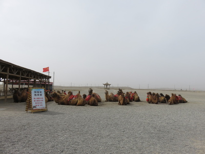 Just outside the western gateway into Jiayuguan fortress, you can now rent a camel and ride off into the Gobi desert, just like the Silk Road caravans used to do