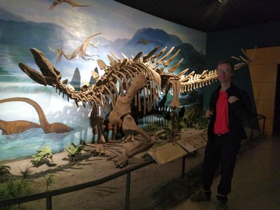 Heiko and a stegosaurus (his favourite dinosaur), in the Gansu Provincial Museum in Lanzhou