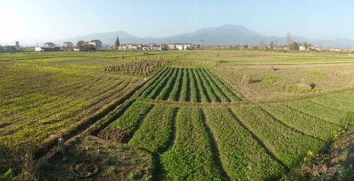 View of the fertile Hanzhong basin on our way to Mianxian