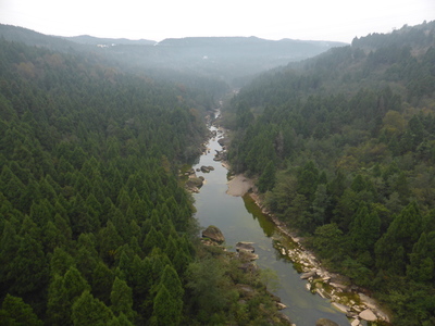 Forest landscape on the way down from Jianmenguan