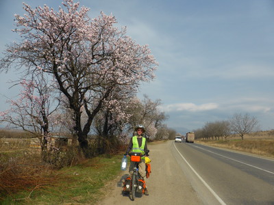 Spring has sprung!