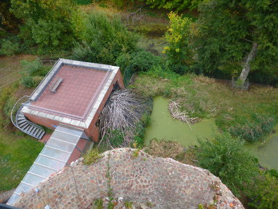 The beaver's lodge with attached visitor's house from above.