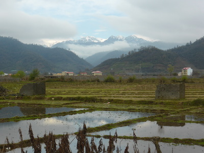 Flooded rice fields and the Alborz mountains between Astara and Talesh