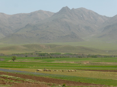 Higher up in the Bavanat Valley, there were fewer trees and villages, but more shepherds with their sheep