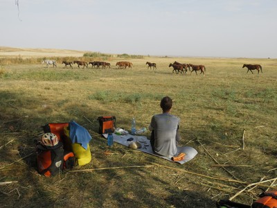 Horses passing nearby our second campsite on the road from Bishkek to Almaty