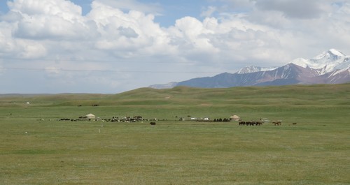 Yurts on the wide jailoo (summer pasture) on the way to Sary Tash
