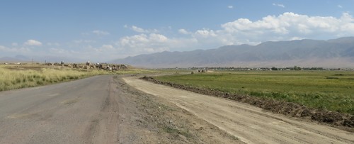 One of the many cemeteries along the road from Aral to Kyzart. With many of the graves marked by elaborate structures and mausoleums, from a distance, these cemeteries often looked like miniature villages themselves.