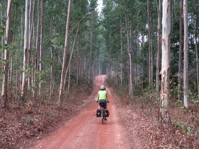 The road we took from Vieng Kham to avoid the busy Route 13 and to be closer to the Mekong river turned out to be unpaved, undulating, and very sandy