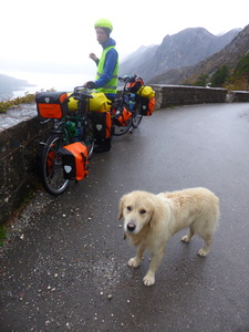 This dog followed us from Kotor all the way up to Njeguši, despite our attempts to shoo it away for its own good. Only quite a while after we arrived, when it was already dark, did Heiko manage to chase it away. We don't know if it then ran all the way back down...