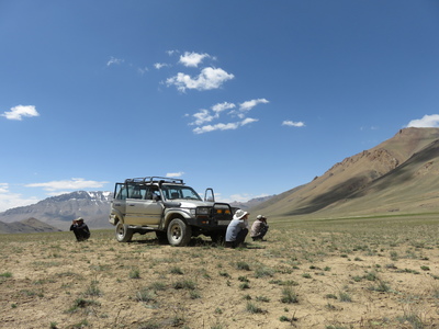 A typical scene from our wildlife spotting day tour with the local NGO Burgut in the Alichur Conservancy area - straight out of the Landcruiser and into squatting position, using binoculars to scan the surrounding slopes for animals