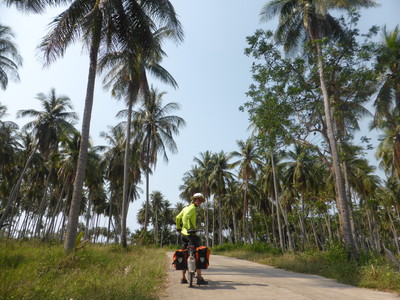 Cycling through coconut plantations after leaving the Route 4 near Thap Sakae