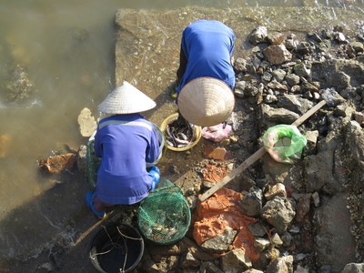 Women collecting fish from the fishing boats in Halong Bay